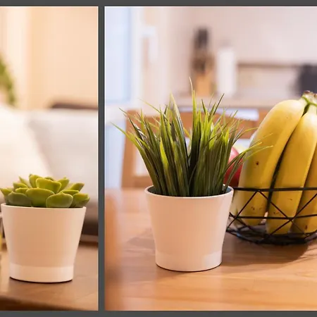 The Red Point * ヴァルナ